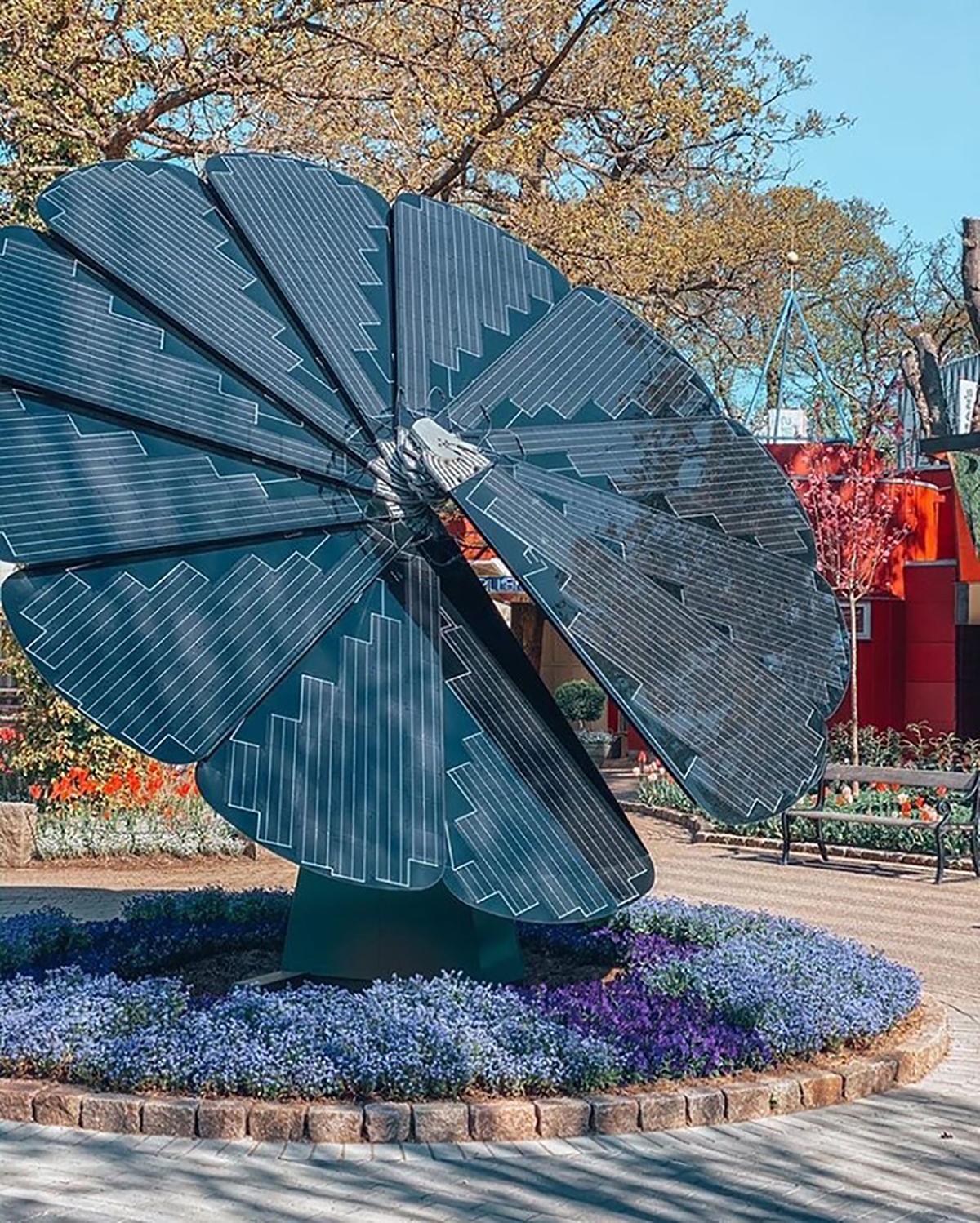 Le panneau solaire‌ Marguerite : une innovation inspirée de la nature